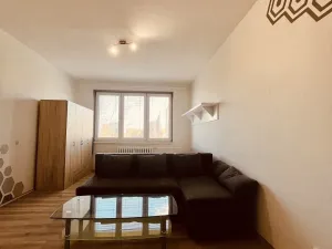 Pronájem bytu 1+1, Ostrava - Výškovice, Lužická, 38 m2