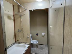 Prodej bytu 1+1, Žirovnice, Sídliště, 36 m2
