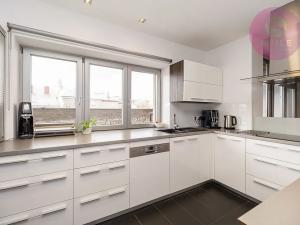 Pronájem bytu 4+1, Ostrava, Vítězná, 205 m2