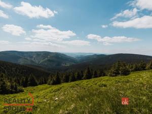 Prodej bytu 1+kk, Dolní Morava - Velká Morava, 39 m2