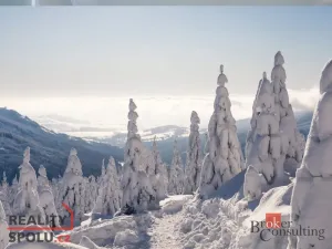 Prodej bytu 4+kk, Dolní Morava - Velká Morava, 131 m2