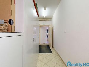 Prodej výrobních prostor, Týn nad Vltavou - Malá Strana, Průmyslová, 387 m2