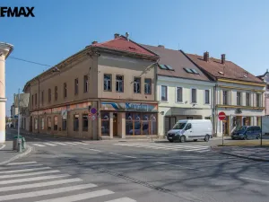 Prodej rodinného domu, Třebechovice pod Orebem, Masarykovo náměstí, 310 m2