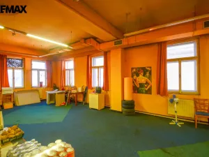 Prodej rodinného domu, Třebechovice pod Orebem, Masarykovo náměstí, 310 m2