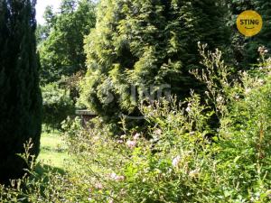Prodej chaty, Albrechtice, 20 m2