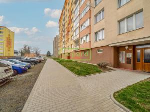 Prodej bytu 1+kk, Ostrov, Lidická, 23 m2