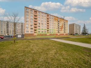 Prodej bytu 1+kk, Ostrov, Lidická, 23 m2