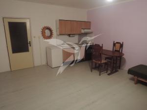 Pronájem bytu 1+kk, Plzeň, Hodonínská, 31 m2