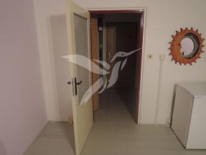 Pronájem bytu 1+kk, Plzeň, Hodonínská, 31 m2