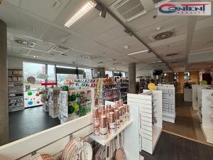 Pronájem obchodního prostoru, Praha - Prosek, Prosecká, 260 m2