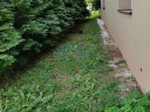 Prodej rodinného domu, Velvary - Ješín, 114 m2