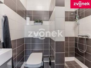 Prodej obchodního prostoru, Babice, 222 m2