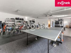 Prodej obchodního prostoru, Babice, 222 m2