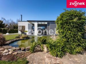 Prodej obchodního prostoru, Babice, 222 m2
