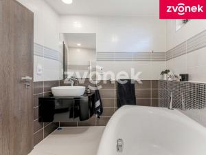 Prodej obchodního prostoru, Babice, 222 m2