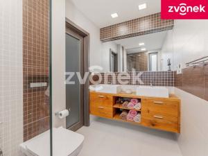 Prodej obchodního prostoru, Babice, 222 m2