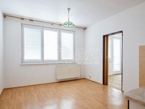 Pronájem bytu 1+1, Strakonice, Luční, 39 m2