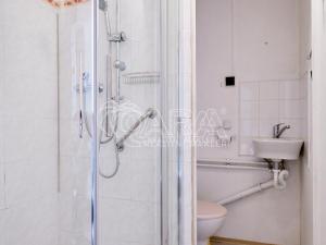 Pronájem bytu 1+1, Strakonice, Luční, 39 m2