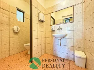 Prodej vícegeneračního domu, Zvíkovec, 522 m2