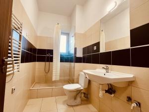 Pronájem bytu 2+kk, Ostrava - Vítkovice, Erbenova, 52 m2