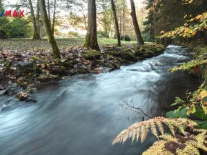 Prodej chalupy, Nový Hrádek, Končiny, 375 m2