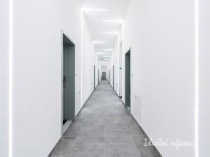 Pronájem bytu 1+kk, Praha - Kyje, Za černým mostem, 25 m2