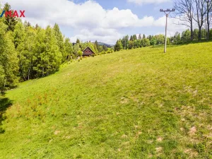 Prodej pozemku pro bydlení, Říčky v Orlických horách, 3863 m2