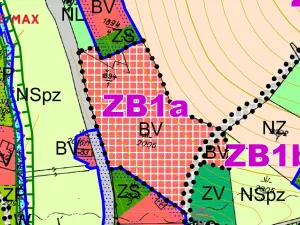 Prodej pozemku pro bydlení, Říčky v Orlických horách, 3863 m2