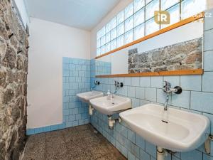 Prodej ubytování, Josefův Důl - Antonínov, 305 m2