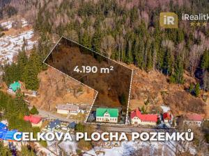 Prodej ubytování, Josefův Důl - Antonínov, 305 m2