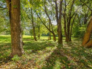 Prodej obchodního prostoru, Praha - Motol, Brdlíkova, 100 m2