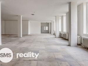 Pronájem obchodního prostoru, Karviná - Ráj, Borovského, 691 m2