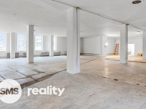 Pronájem obchodního prostoru, Karviná - Ráj, Borovského, 691 m2