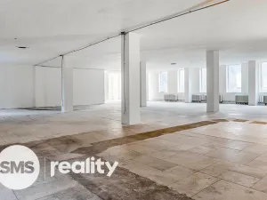 Pronájem obchodního prostoru, Karviná - Ráj, Borovského, 691 m2