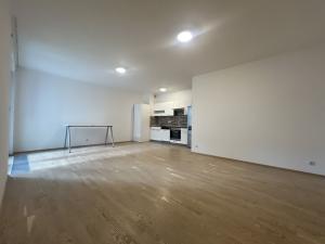 Pronájem bytu 2+kk, Praha - Žižkov, Olšanská, 69 m2