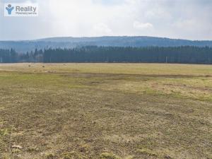 Prodej pozemku pro bydlení, Nicov, 6774 m2