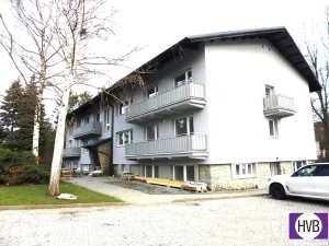 Prodej bytu 1+kk, Slapy, 27 m2