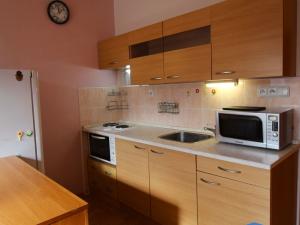 Prodej bytu 1+kk, Kyselka - Radošov, 21 m2