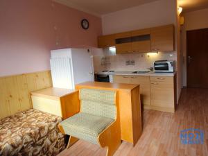 Prodej bytu 1+kk, Kyselka - Radošov, 21 m2