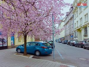 Prodej bytu 3+1, Ostrava - Moravská Ostrava, Herodova, 120 m2