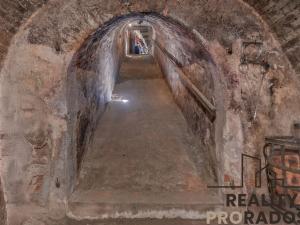 Prodej vinného sklepa, Strachotice, 450 m2