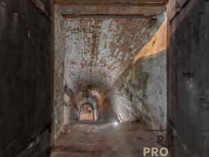 Prodej vinného sklepa, Strachotice, 450 m2