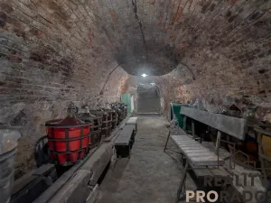 Prodej vinného sklepa, Strachotice, 450 m2
