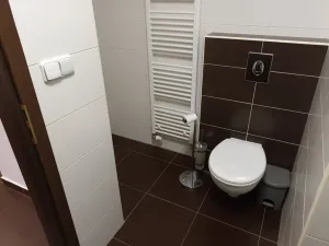 Pronájem bytu 2+kk, České Budějovice - České Budějovice 3, Nová, 63 m2