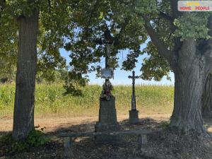 Prodej chalupy, Dražíč - Karlov-Nepomuk, 214 m2