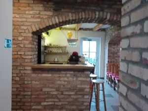 Prodej ubytování, Hodonín, Jižní, 256 m2