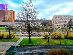 Prodej bytu 4+kk, Ostrava - Slezská Ostrava, Bohumínská, 66 m2