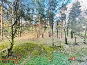 Prodej bytu 2+1, Chomutov, Kamenná, 60 m2