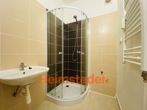Pronájem bytu 1+kk, Ostrava - Poruba, Opavská, 27 m2