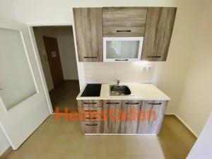 Pronájem bytu 1+kk, Ostrava - Poruba, Opavská, 27 m2
